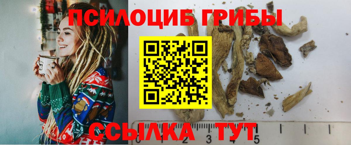 Галлюциногенные грибы мицелий  Вход с VPN  Галлюциногенные грибы Psilocybine cubensis  Ишим 